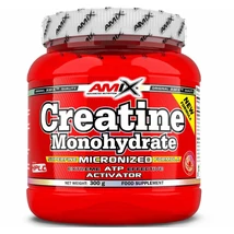 Amix Creatine Monohydrate 300g