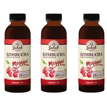 Kombucha koncentrátum meggyel 3x0,5 l