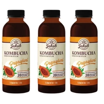 Kombucha papayás koncentrátum 3x0,5 l