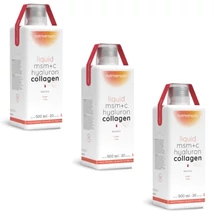 Nutriversum WSHAPE Collagene+Hyaluron+MSM Liquid 3x500ml mango