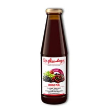 Dr.Steinberger Energie Plus étrend-kiegészítő - 450 ml