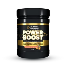 Luxoya ProFORM Boost IceTea 300g