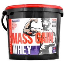 Megabol Whey Mass Gain 3000g eper