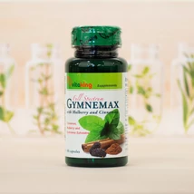 VitaKing GymneMAX Fahéj Mullberry 60 kapsz.