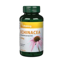 Vitaking Kasvirág Echinacea 250mg 90kapsz.