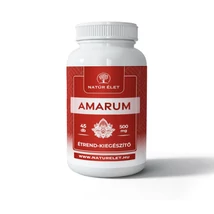 Natúr Élet Amarum kapszula - 45db