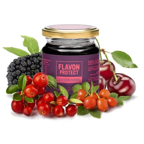 Flavon Protect 240g