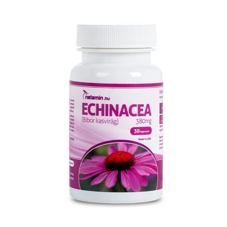 Netamin Echinacea 380 mg kapszula (Bíbor Kasvirág) 30x